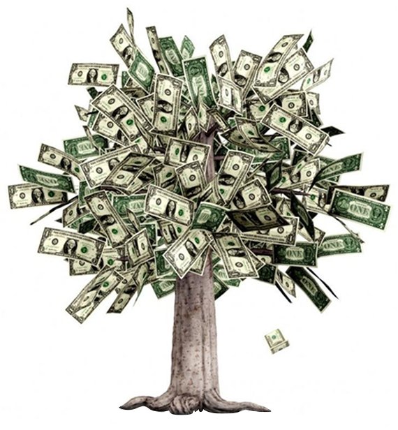 money growing on a tree