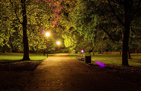 park lighting 