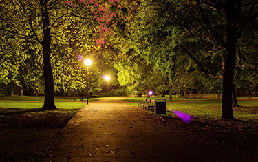 Outdoor LED lights in parks